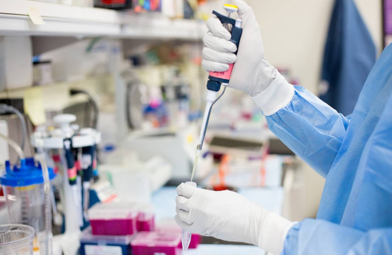 �t(y��)ˎ�������b��